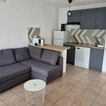 T2 Avec Piscine A Bourg, Proche Plages Du Et Ocean, 4 Pers, Centre-ville - Fr-1-319-454 Biscarrosse